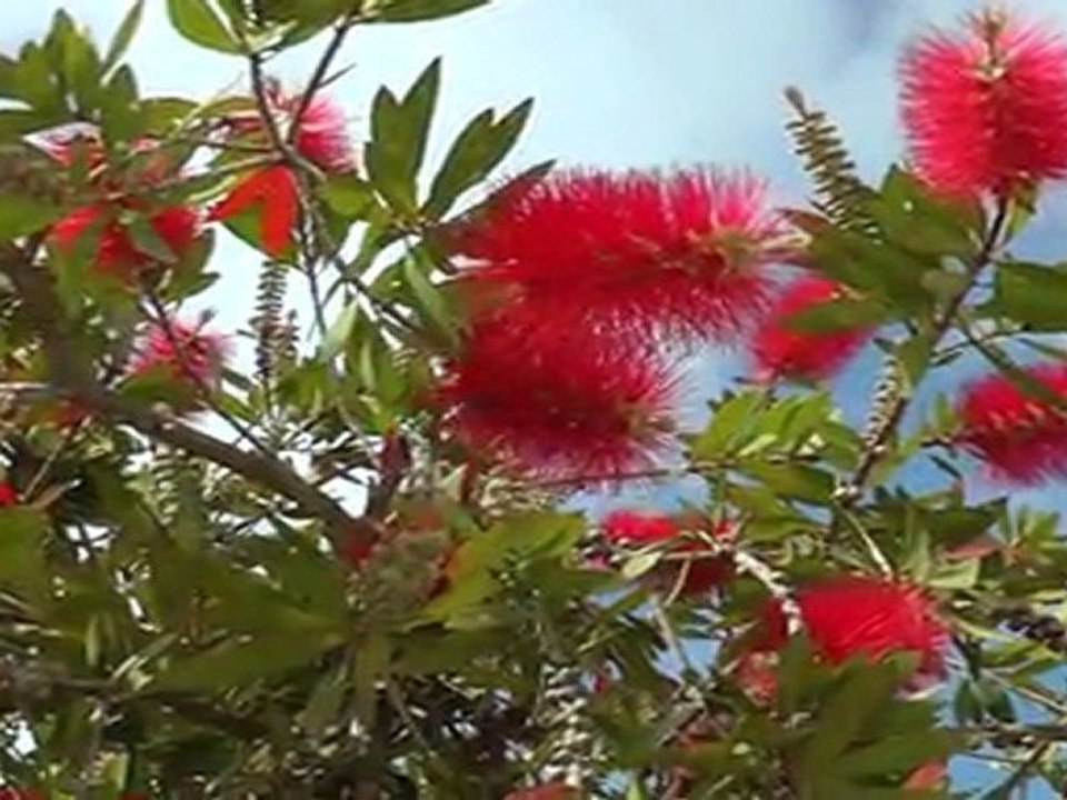 Trailer: Entlang der Ionischen Küsten