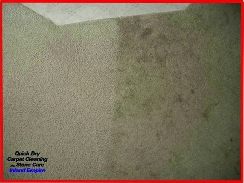 Carpet Cleaner Claremont 951-805-2909 -Quick Dry Carpet Cleaning - Pictures