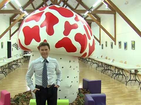 Opal'TV : Le JT - Edition du 16 Novembre 2011