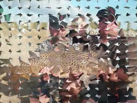 MITIC PRO CONCEPT (appâts frais pour la pêche de la carpe)