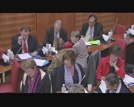9 Mars 2011 audition de Mme Jeannette Bougrab, secrétaire d’Etat chargée de la jeunesse et de la vie associative, sur la mise en œuvre de la loi du 10 mars 2010 relative au service civique