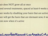 Laser Hair Removal in Los Angeles - Laser Hair Removal LA