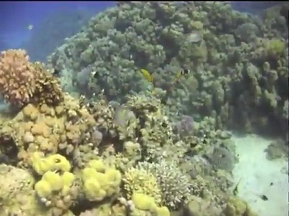 SAFAGA - Egypte 2009