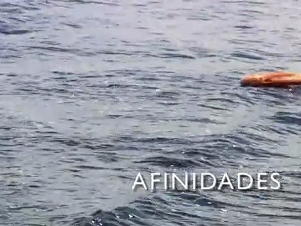 Afinidades