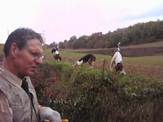 Le récit du Maître d"équipage à propos de sa chasse