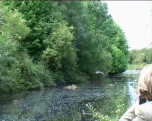 Along The Bridgwater & Taunton Canal - Part 1