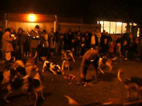 Une Curée froide de lièvre, dans le Gers