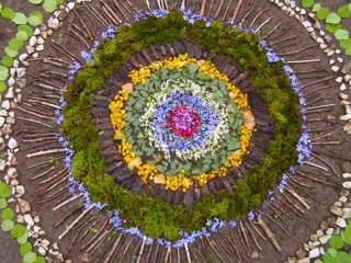 Exposition : au coeur des expériences ART et NATURE