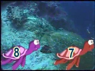 (DVD15) (35) AVENTURAS BAJO EL AGUA, TORTUGAS