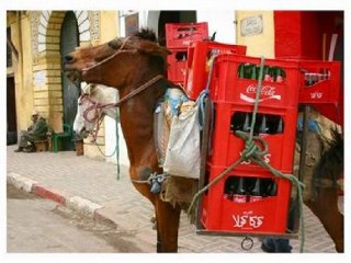 Maroc photos sans commentaire + العلوة