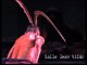 Regarder Chants de la. sur DailyMotion.com