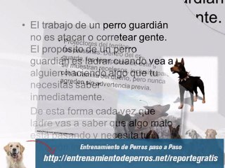 Secretos del Entrenamiento para Perros Guardian