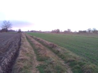 Testuj z Orange. Barti S.