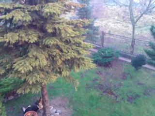 HTC 7 Mozart T8698_20111117_145955Z