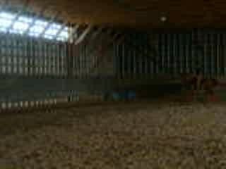 Casey saut main gauche