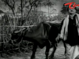 NTR Old Songs | Kalasi Vunte Kaladu Sukham | Mudda Banthi Poolu Song | NTR | Savitri