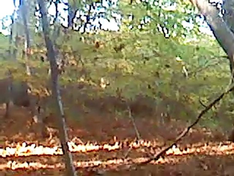 MOV00298