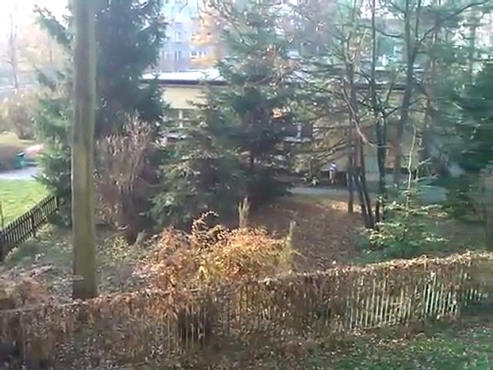 Okiem Mozarta_moja okolica