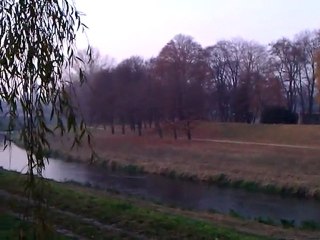widok na zamek i park nad odra
