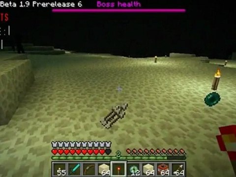 Minecraft - actu sur l'ender et le patch 1.9pre6