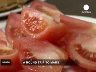 Marte 500: un anno e mezzo in un simulatore