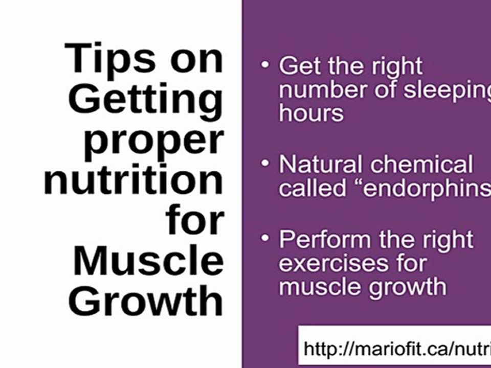 How to get proper nutrition for muscle growth?