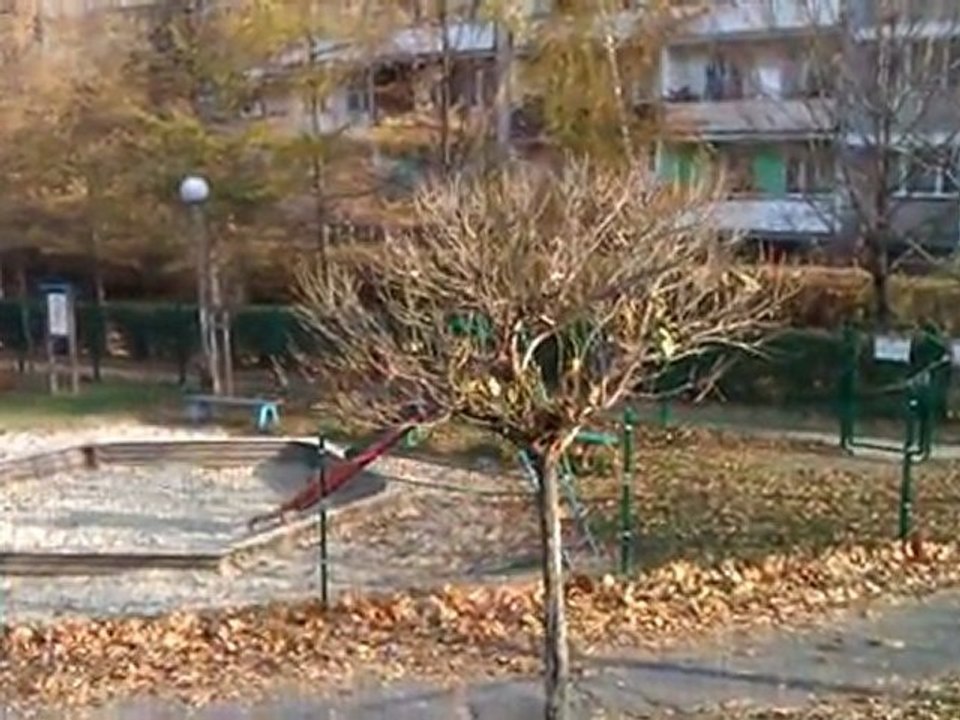 Rybnik okiem Mozarta cz. II