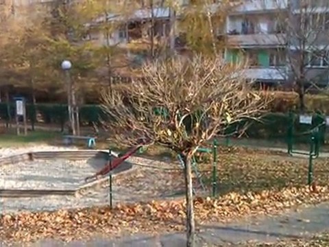 Rybnik okiem Mozarta cz. II