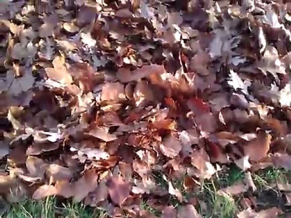 zadanie od Paweł Soczyński