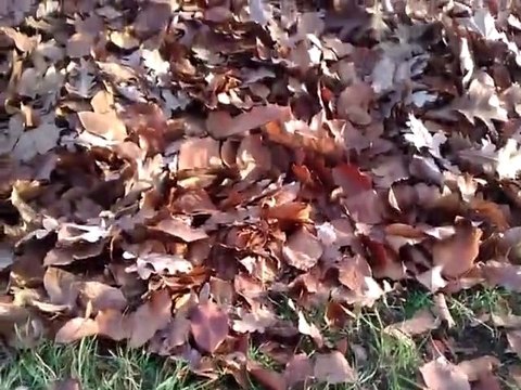 zadanie od Paweł Soczyński