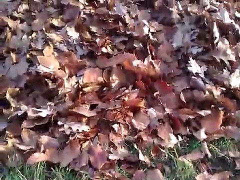 zadanie od Paweł Soczyński