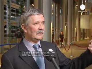 Come evitare l'estinzione delle api?