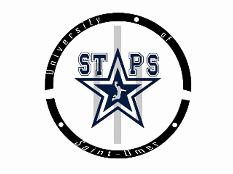 logo staps