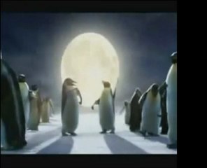 Spot Coca-Cola 2005 con gli Orsi Polari e i Pinguini