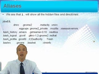 Learn about bash Shell in Red Hat Linux Essentials from ...