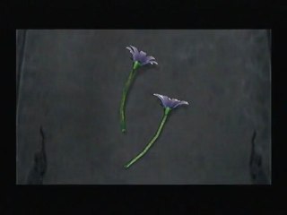 Shadow Hearts Covenant walkthrough 38 - Le Cimetière Etranger