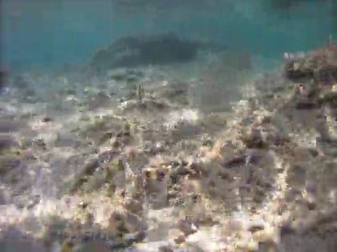 PMT LAGON L HERMITAGE 2/11-2011