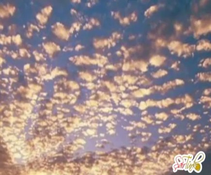 ELİF REYYA NAZ-YILDIRAY COŞKUN-SİMSİYAH AŞK-I SİYAH