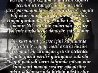 ŞAİRANE SEVİNÇ '' BEN BİR RÜYA KIZIYIM ''