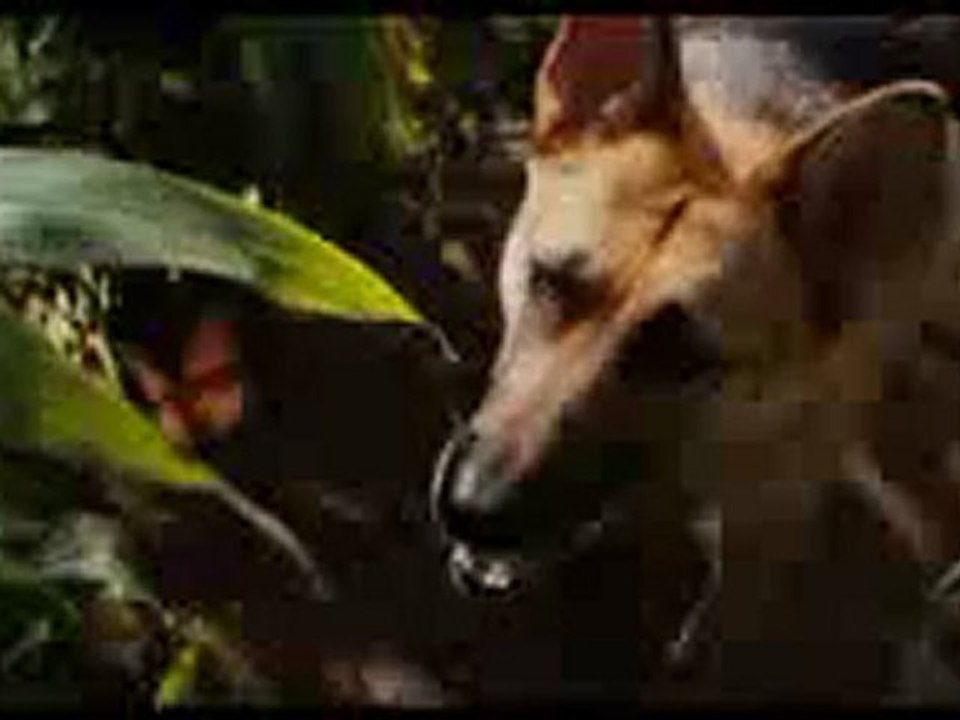 I Am Legend (2007) Trailer