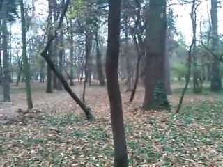 Park Zachodni Wrocław by HTC Mozart 2