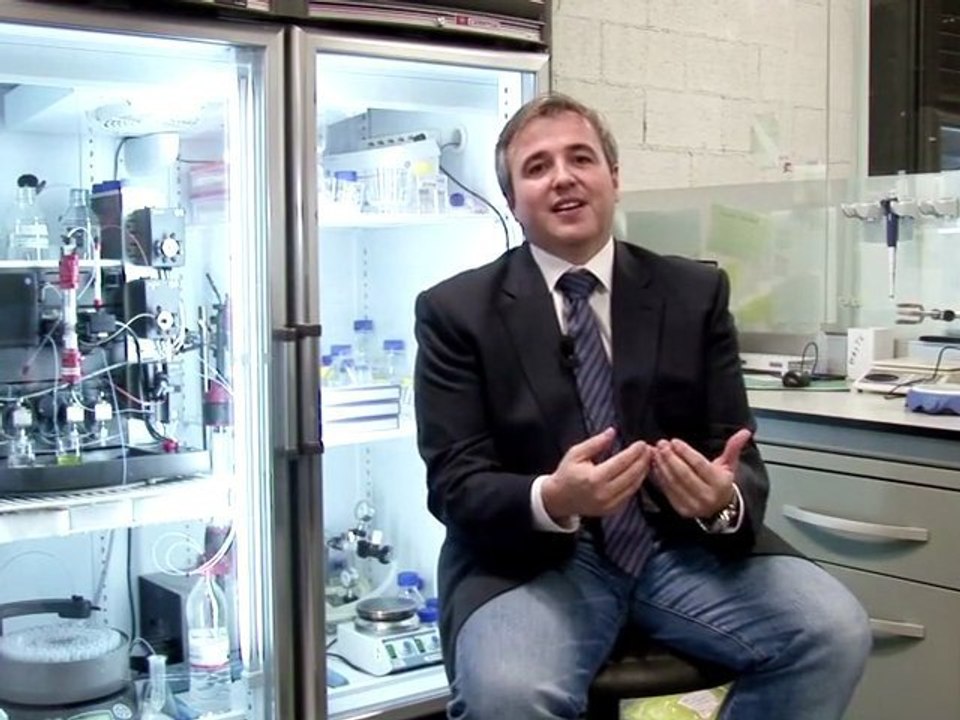 Las proteínas como valor añadido en la investigación biotecnológica
