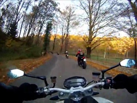 2011 Balade Ducat Novembre Vallee de Chevreuse