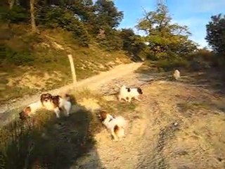 Les phalenes sont heureux - Nov 2011