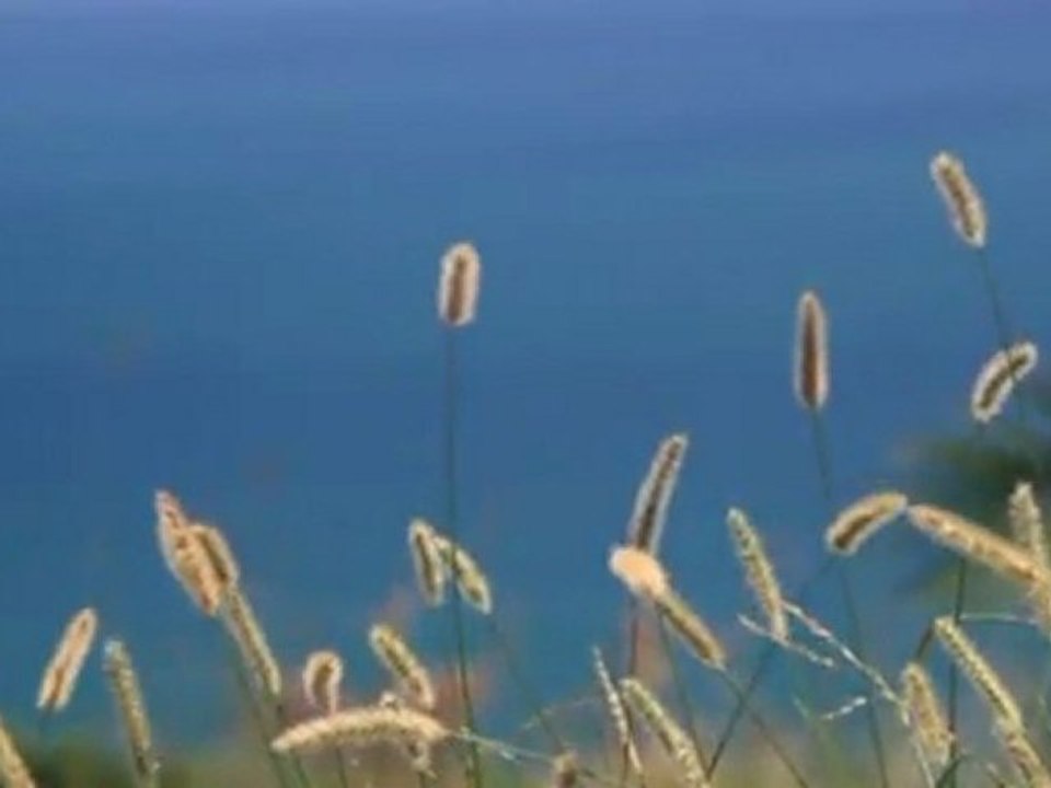 My Video