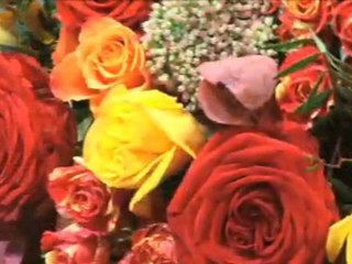 Blomsterforretning Oslo Finn Schjøll Blomster og ...