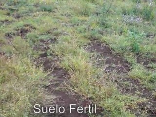Venta de Lote de Terreno En Yamaranguila, Intibuca