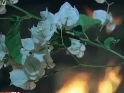 Kanikuly.v.meksike.(54.vypusk).17.11.2011.SATRip.[ riper.am]