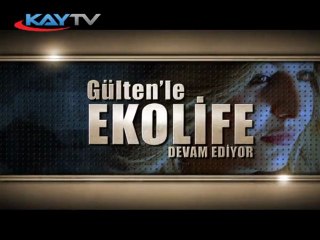 EKOLIFE MEYSU 16 EKİM 2011