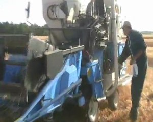 Récolte d'essais céréales